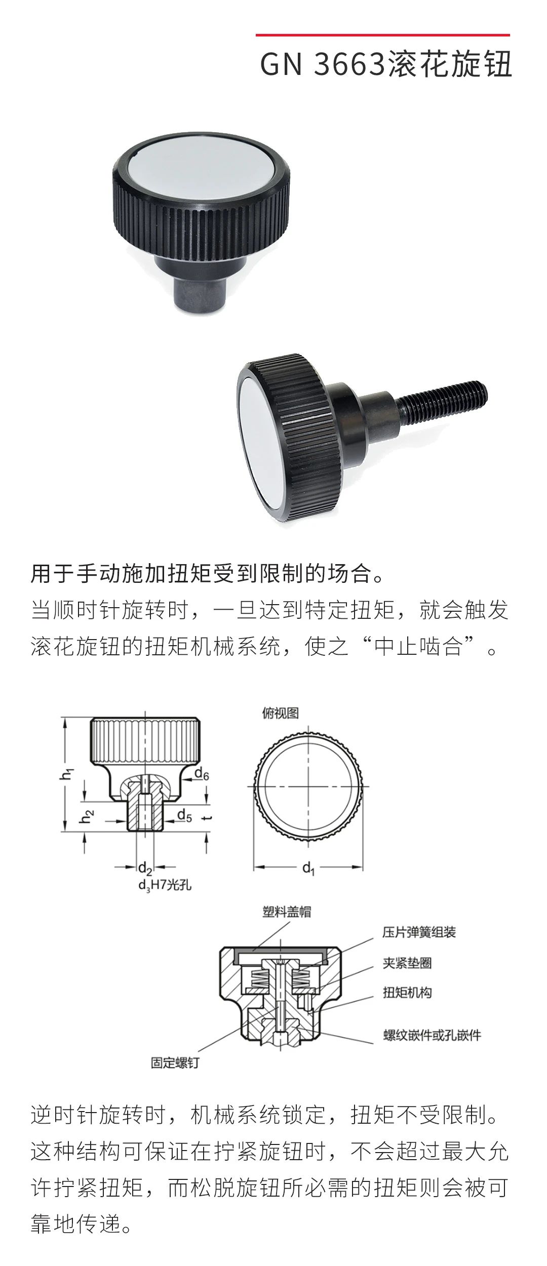 伊莉莎冈特