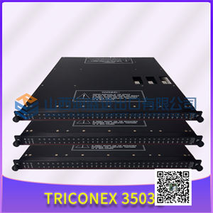 ICS TRIPLEX T8403 模拟量输出模块